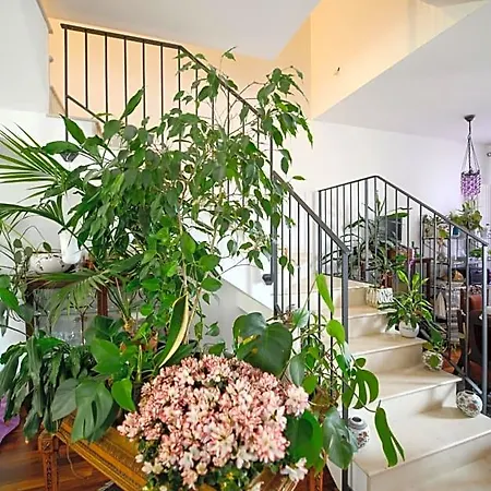 Bed & Breakfast Il Giardino Incantato