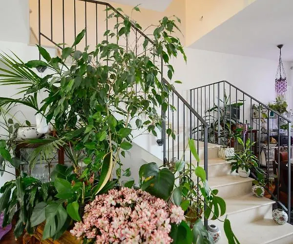 Il Giardino Incantato Panzió